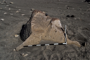 Piedra: 1143, Cara decorada: I