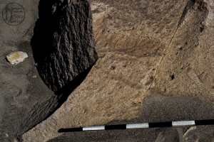 Piedra: 1143, Cara decorada: I