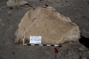 Piedra: 1144, Cara decorada: I