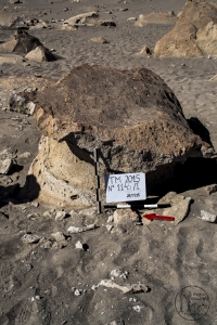 Piedra: 1145, Cara decorada: I