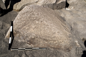 Piedra: 1148, Cara decorada: I