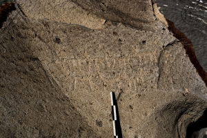 Piedra: 1150, Cara decorada: I