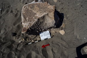 Piedra: 1151, Cara decorada: I