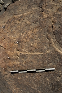Piedra: 1153, Cara decorada: I