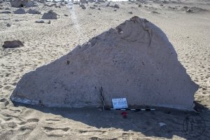 Piedra: 1155, Cara decorada: II