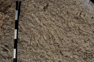 Piedra: 1155, Cara decorada: I