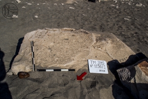 Piedra: 1156, Cara decorada: I