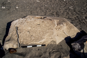 Piedra: 1156, Cara decorada: I