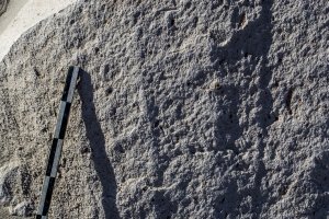 Piedra: 1159, Cara decorada: I