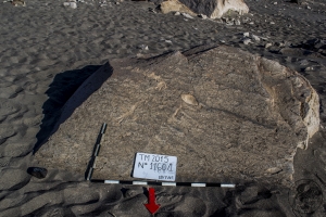 Piedra: 1160, Cara decorada: I