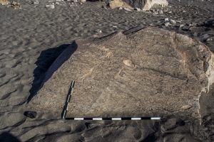 Piedra: 1160, Cara decorada: I