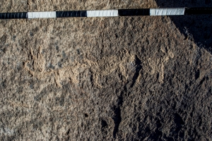 Piedra: 1160, Cara decorada: I