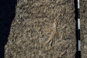 Piedra: 1160, Cara decorada: I