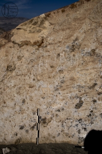 Piedra: 1161, Cara decorada: II