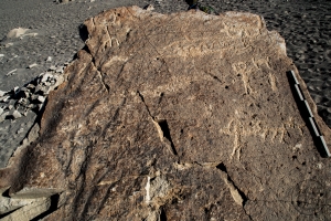 Piedra: 1161, Cara decorada: I