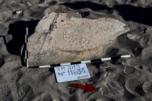 Piedra: 1163, Cara decorada: I