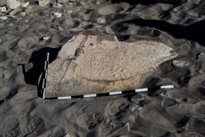 Piedra: 1163, Cara decorada: I