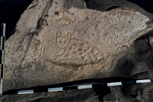 Piedra: 1163, Cara decorada: I