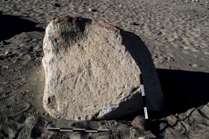 Piedra: 1164, Cara decorada: I