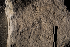 Piedra: 1164, Cara decorada: I