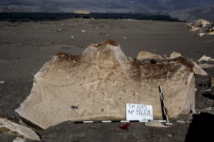 Piedra: 1165, Cara decorada: I