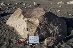 Piedra: 1166, Cara decorada: II