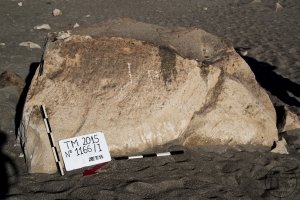 Piedra: 1166, Cara decorada: I