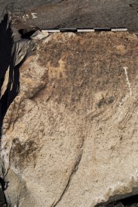 Piedra: 1166, Cara decorada: I