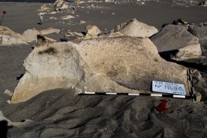 Piedra: 1167, Cara decorada: I