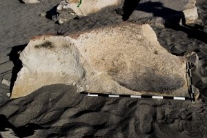Piedra: 1167, Cara decorada: I