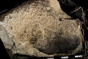 Piedra: 1167, Cara decorada: I