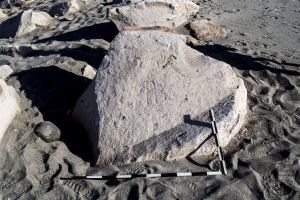 Piedra: 1168, Cara decorada: I