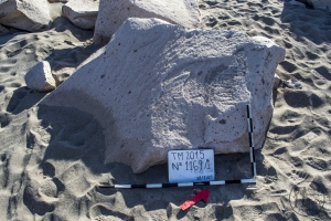 Piedra: 1169, Cara decorada: I