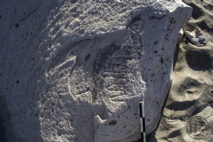 Piedra: 1169, Cara decorada: I