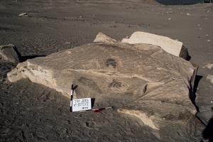 Piedra: 1170, Cara decorada: I