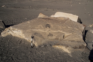Piedra: 1170, Cara decorada: I