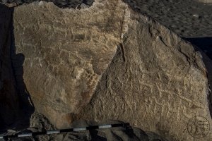 Piedra: 1173, Cara decorada: I
