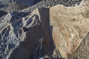 Piedra: 1173, Cara decorada: I