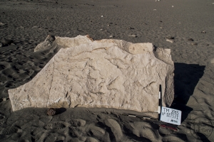 Piedra: 1175, Cara decorada: I