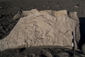Piedra: 1175, Cara decorada: I