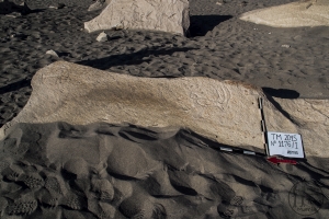 Piedra: 1176, Cara decorada: I