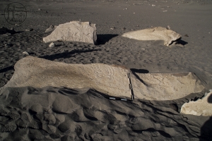 Piedra: 1176, Cara decorada: I