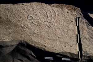 Piedra: 1176, Cara decorada: I