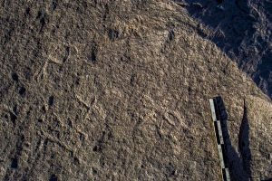 Piedra: 1178, Cara decorada: I
