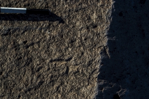Piedra: 1178, Cara decorada: I