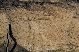 Piedra: 1179, Cara decorada: I