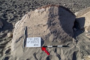 Piedra: 1181, Cara decorada: I