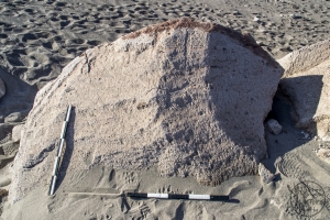 Piedra: 1181, Cara decorada: I