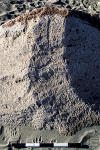 Piedra: 1181, Cara decorada: I