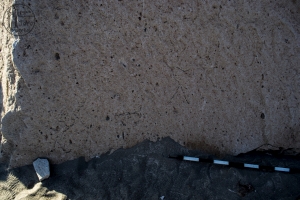 Piedra: 1183, Cara decorada: III